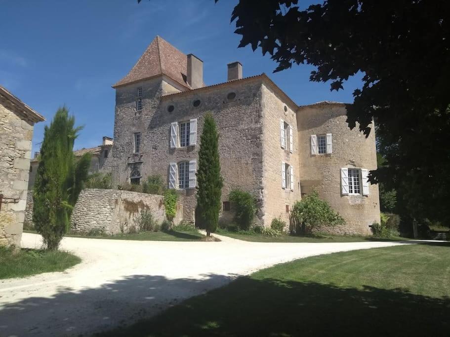Chateau Barayre - Beautiful 12Th Century Castle With Pool And Large Garden Laussou エクステリア 写真