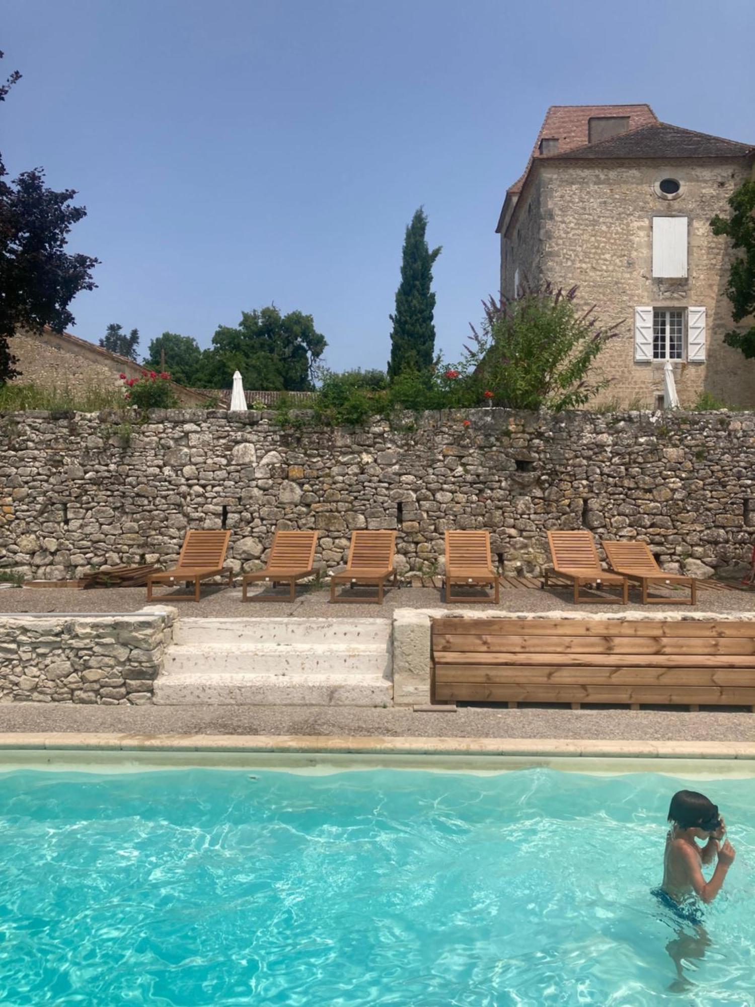 Chateau Barayre - Beautiful 12Th Century Castle With Pool And Large Garden Laussou エクステリア 写真